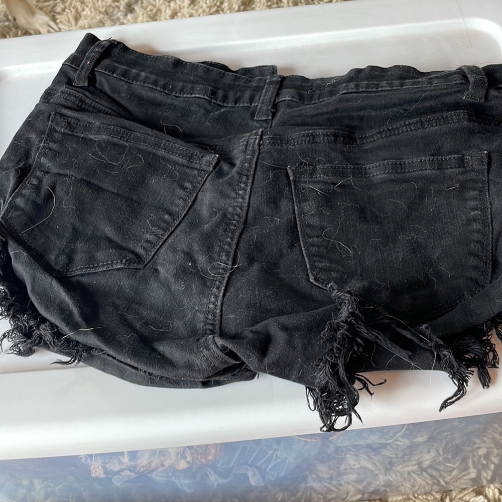 Shorts - Picture 2 of 2